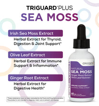 TriGuard Plus Sea Moss - Thyroid Support 60 mL (2oz)